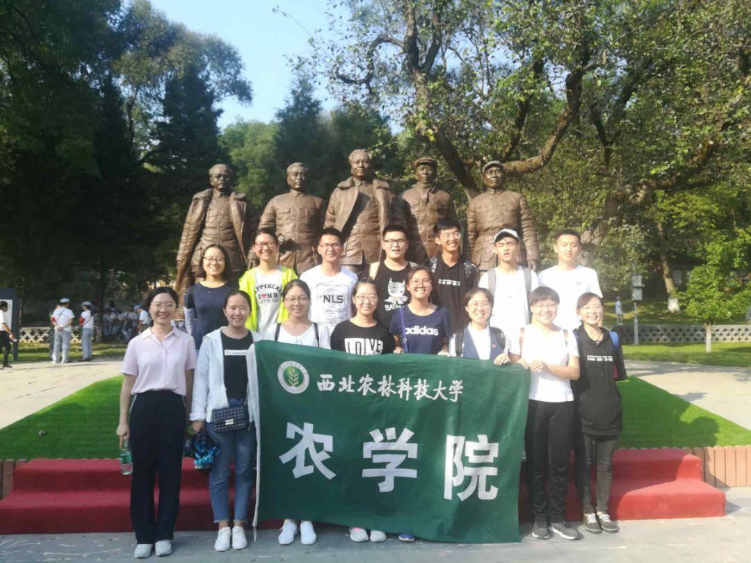 艾尔登法环黑屏只有鼠标游戏画面